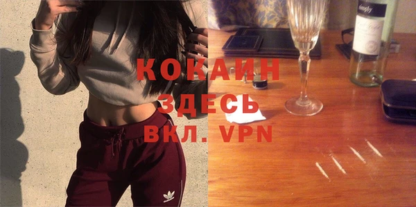 apvp Михайлов